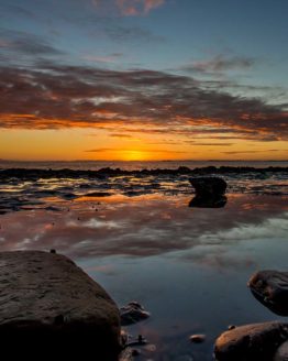 Little Manly Beach