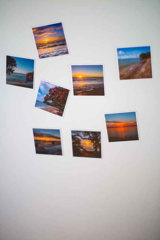 Little Manly Fridge Magnets Whangaparaoa