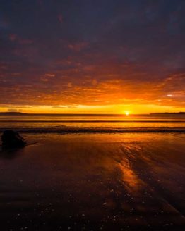 Red Beach Whangaparaoa