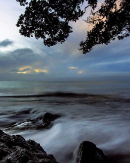 Little Manly Beach Hibiscus Coast