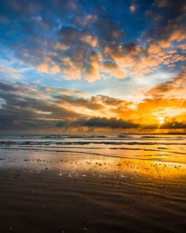 Orewa Beach Hibiscus Coast