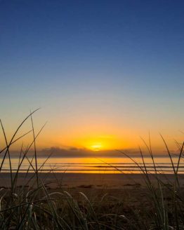 Orewa Beach Hibiscus Coast