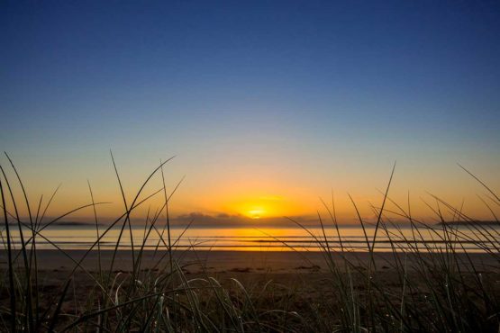 Orewa Beach Hibiscus Coast