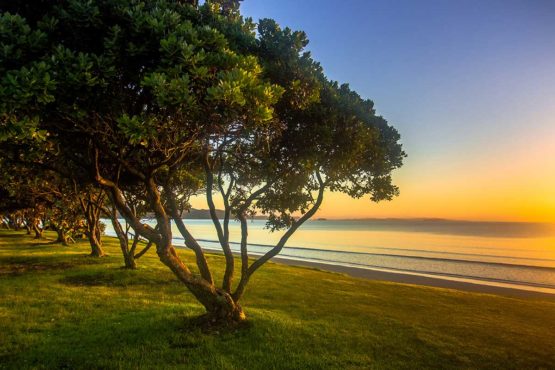 Orewa Beach Hibiscus Coast