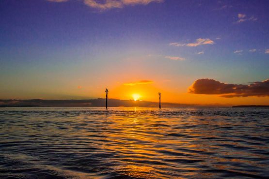 Orewa Beach Hibiscus Coast
