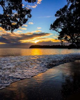 Stanmore Bay Whangaparaoa