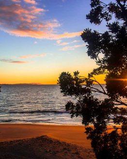Stanmore Bay Hibiscus Coast