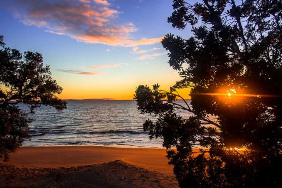 Stanmore Bay Hibiscus Coast