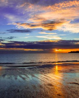 Stanmore Bay Hibiscus Coast