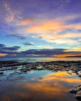 Stanmore Bay Hibiscus Coast