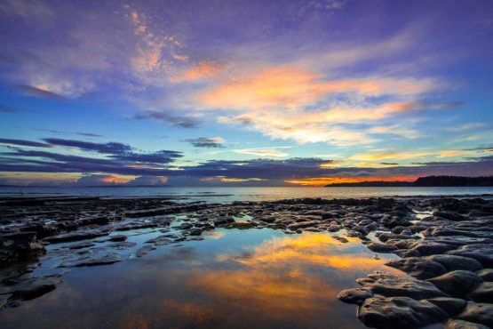 Stanmore Bay Hibiscus Coast