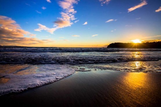 Stanmore Bay Whangaparaoa