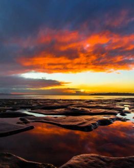 Stanmore Bay Hibiscus Coast