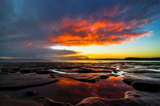 Stanmore Bay Hibiscus Coast