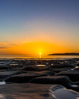 Hibiscus Coast