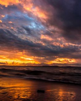 Hibiscus Coast Army Bay