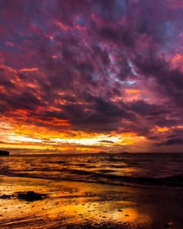Hibiscus Coast Army Bay