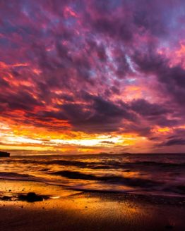 Hibiscus Coast Army Bay