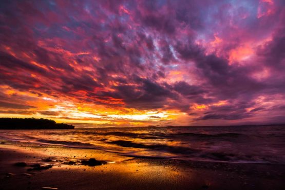 Hibiscus Coast Army Bay