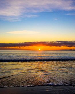 Red Beach Hibiscus Coast