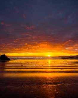 Red Beach Hibiscus Coast