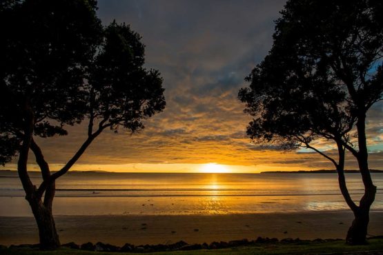 Red Beach Hibiscus Coast.