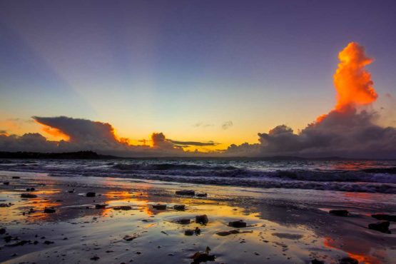 Tindalls Bay Hibiscus Coast