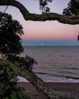 Little Manly Beach
