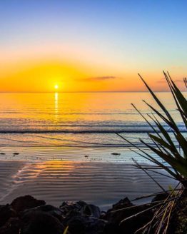 Orewa Beach. Hibiscus Coast.