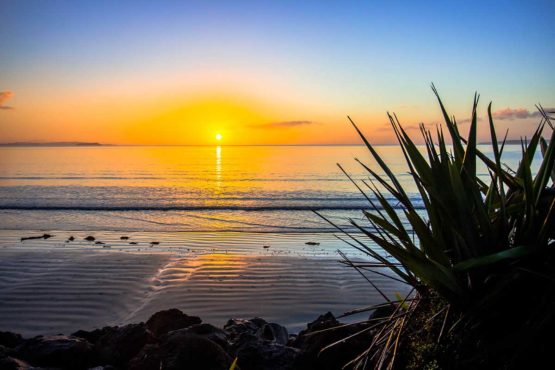 Orewa Beach. Hibiscus Coast.
