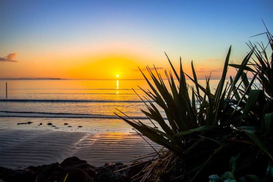 Orewa Beach. Hibiscus Coast.