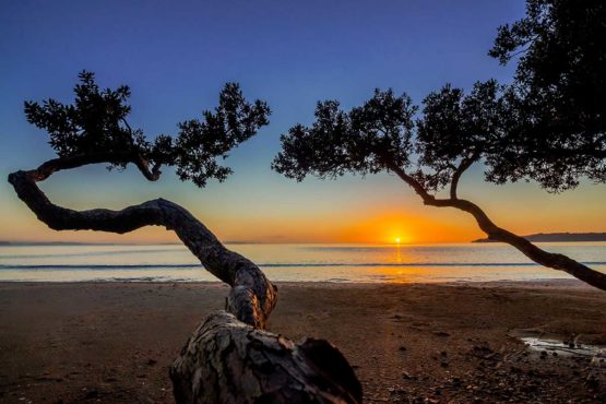 Stanmore Bay Hibiscus Coast