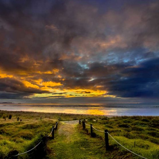Orewa Beach Magnets Hibiscus Coast