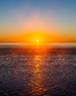 Orewa Beach. Hibiscus Coast.