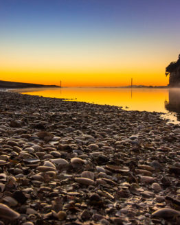 Orewa Beach. Hibiscus Coast.