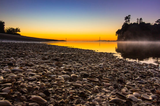 Orewa Beach. Hibiscus Coast.