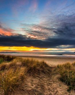 Orewa Beach. Hibiscus Coast.