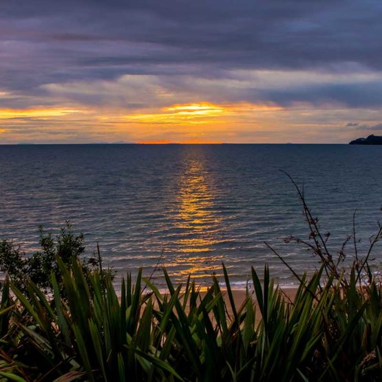 Hibiscus Coast New Zealand Fridge Magnets