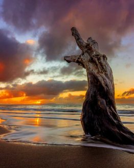 Hbiscus Coast Army Bay Sunset.