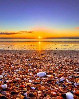 Red Beach Hibiscus Coast.