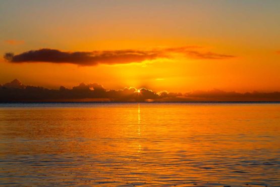 Stanmore Bay Hibiscus Coast.
