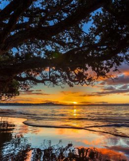 Stanmore Bay Hibiscus Coast.