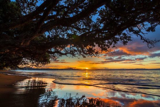 Stanmore Bay Hibiscus Coast.
