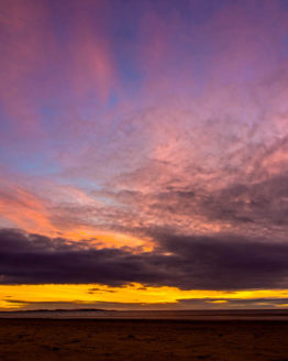 Hbiscus Coast Orewa Beach