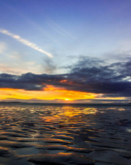 Hbiscus Coast Orewa Beach