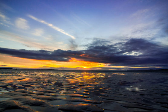 Hbiscus Coast Orewa Beach
