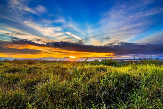 Hbiscus Coast Orewa Beach