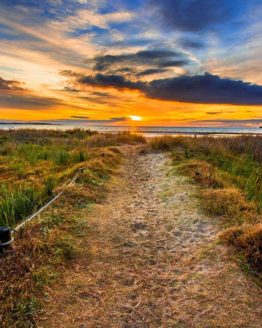 Hbiscus Coast Orewa Beach