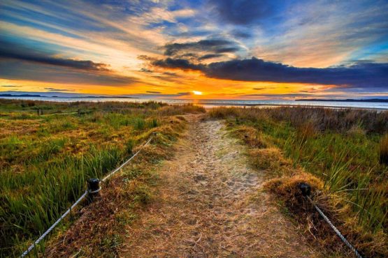 Hbiscus Coast Orewa Beach