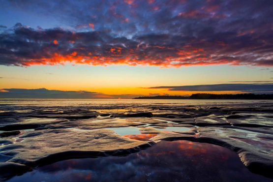 Stanmore Bay Hibiscus Coast.